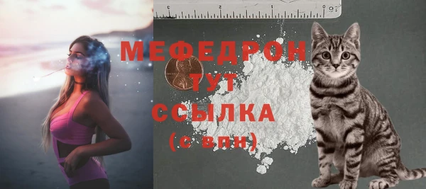шишки Верхний Тагил