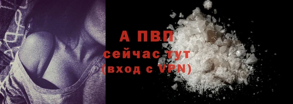 спиды Верея