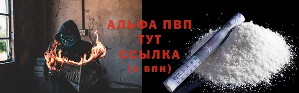 спиды Верея