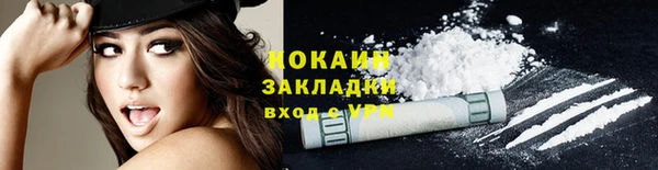 шишки Верхний Тагил
