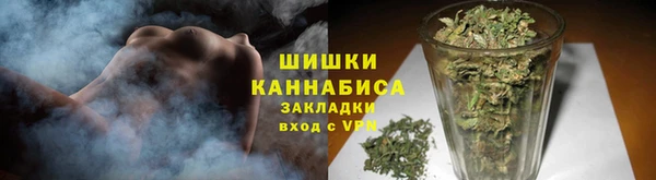 шишки Верхний Тагил