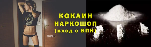 шишки Верхний Тагил