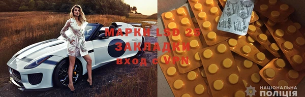 спиды Верея