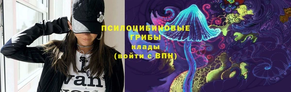 шишки Верхний Тагил
