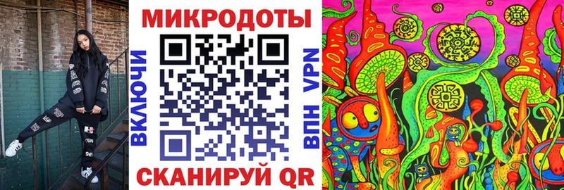 Галлюциногенные грибы Psilocybine cubensis  Липецк 